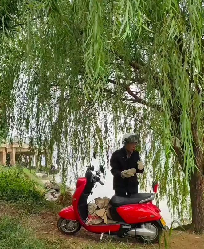 现代版“愚公移山”！湖南长沙，一七旬老人每天用电动车运石头去江边，一年多后竟筑起