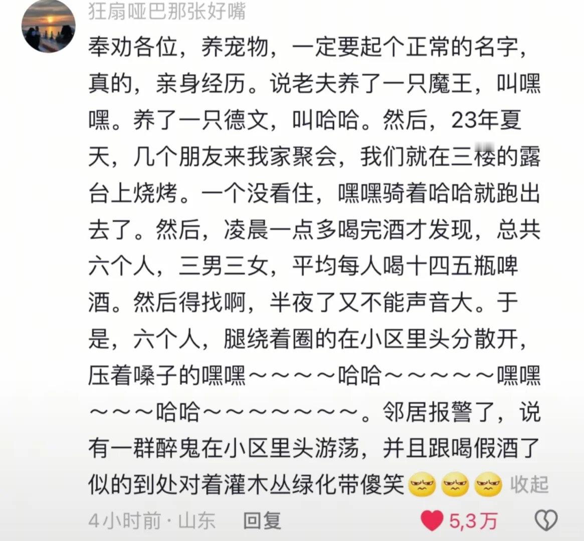 动物奇遇记动物奇趣  给宠物起名要慎重啊！给猫起名建国，喊它下楼大爷懵了；给猫起