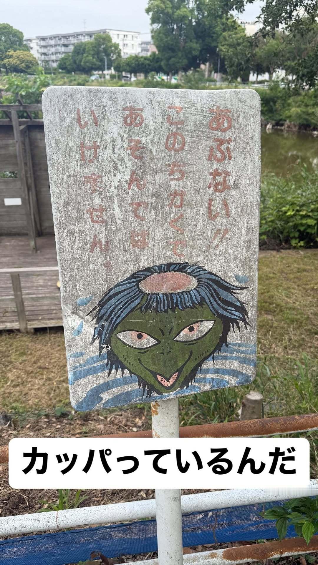 Ryosuke的insta 快拍「原来河童存在啊」 