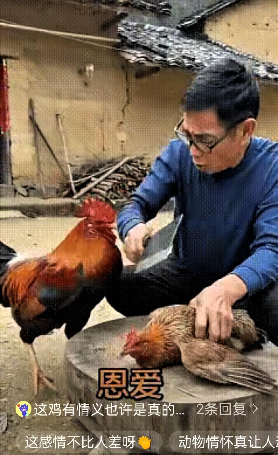 大爷总共养了2只鸡，一只公鸡一只母鸡，二者感情甚好。

家里来了远方客人，大爷想