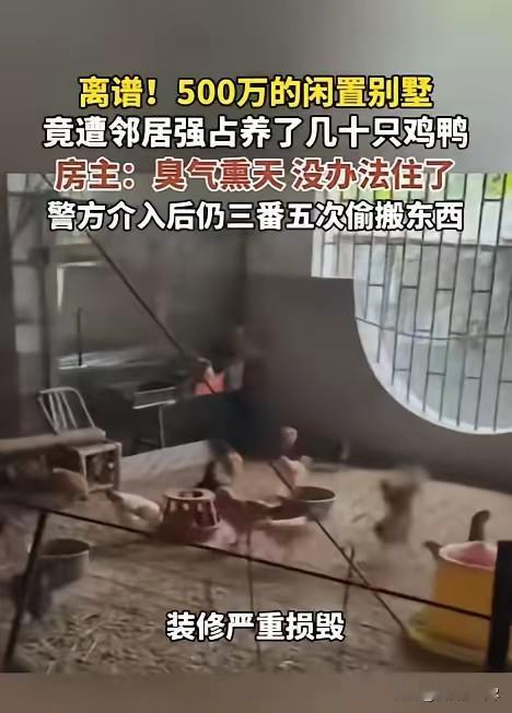 “脸都不要了！”福建一男子回老家祭祖，意外发现闲置多年的别墅里居然有动静，男子好