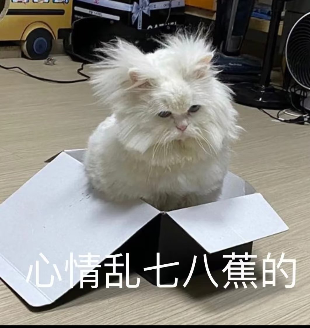 想问一下作为学生学业压力大，晚上睡不着，你们都怎么缓解的？ 