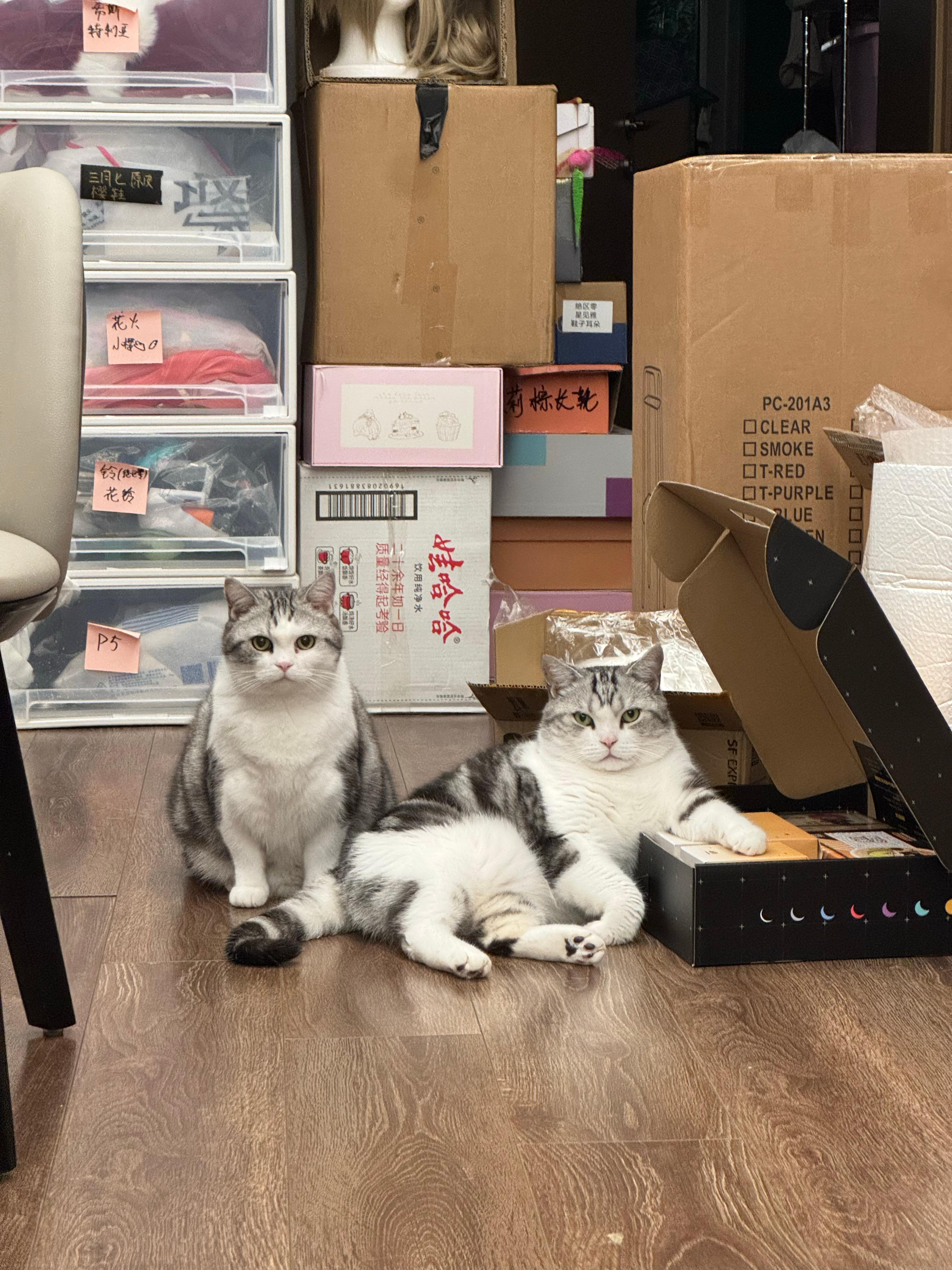 晚安！椰椰沙沙 河野華[超话] ​​​