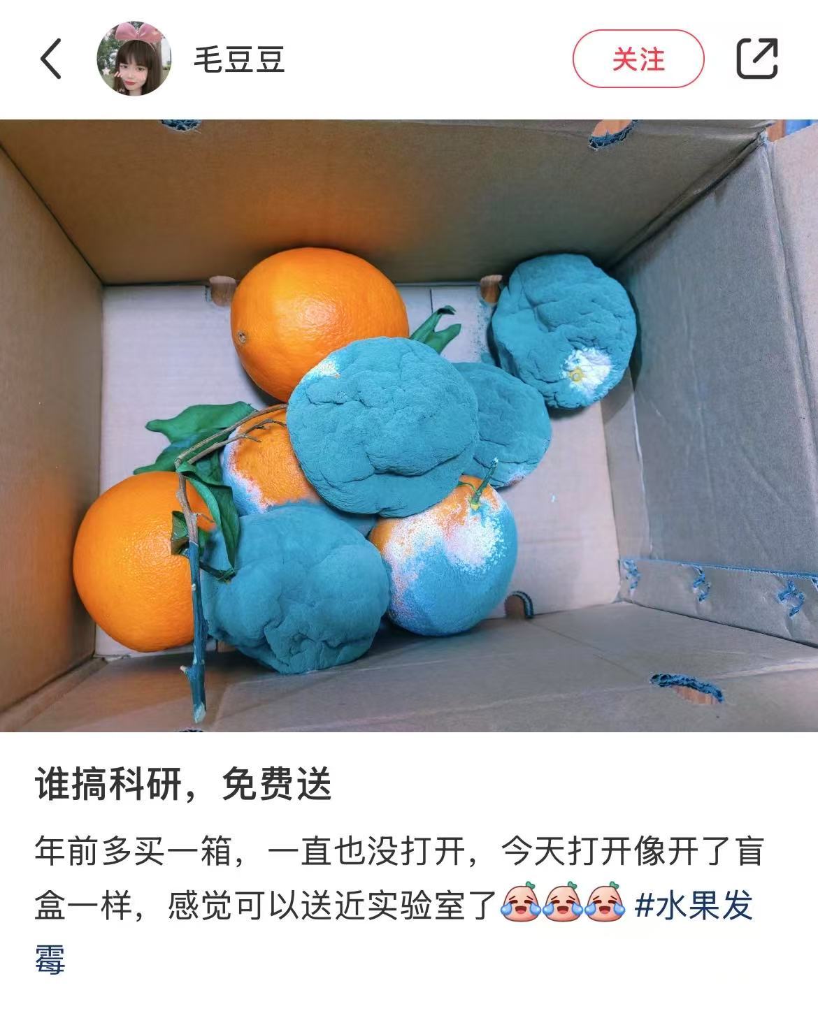 我就说网上人才多吧🤣👌评论区全是梗 