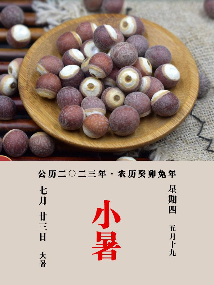 #每天一味中草药# 鸡头实，一名雁喙实，今名芡实，味甘淡，性平，归脾经、肾经。主