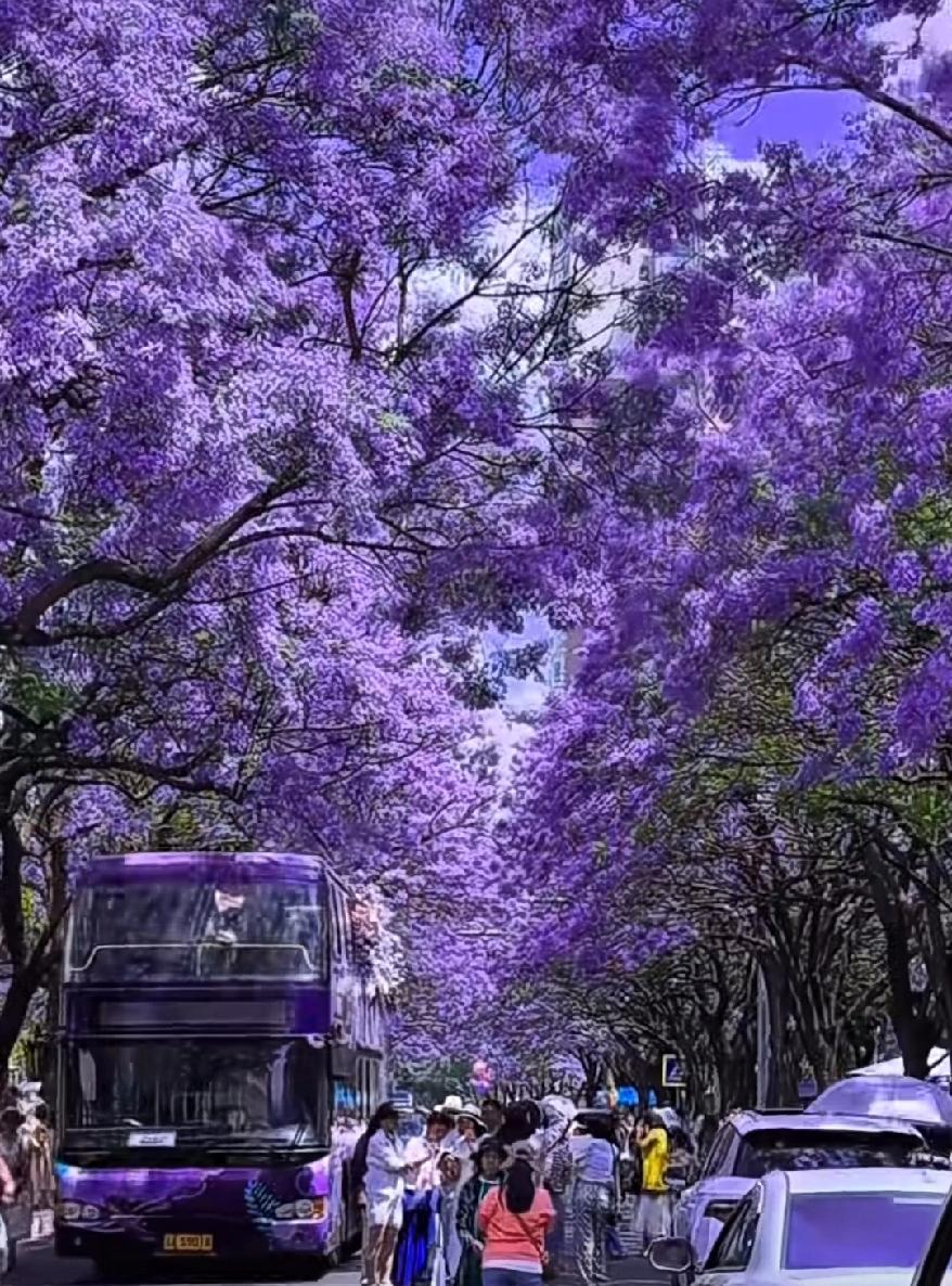 磨练这件事，就如同风雪中的梅花，越冷它越开花。
逆境，从这个角度去看，也就产生了