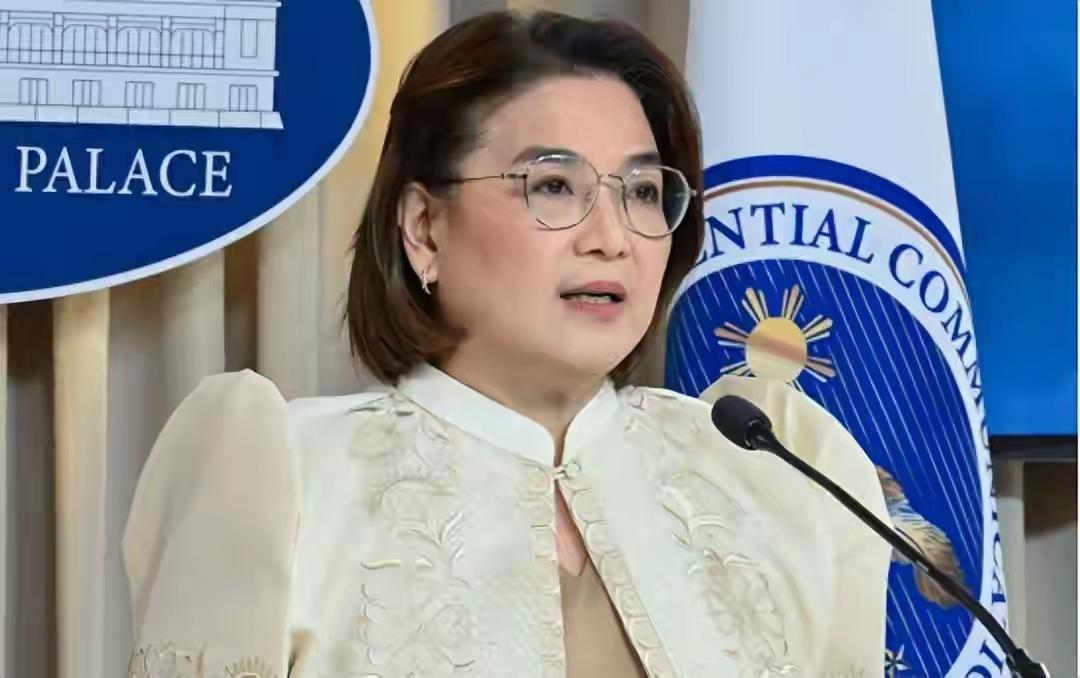 菲律宾国防部长被中国制裁，又被本国政府踹了一脚，活该！
        菲总统府