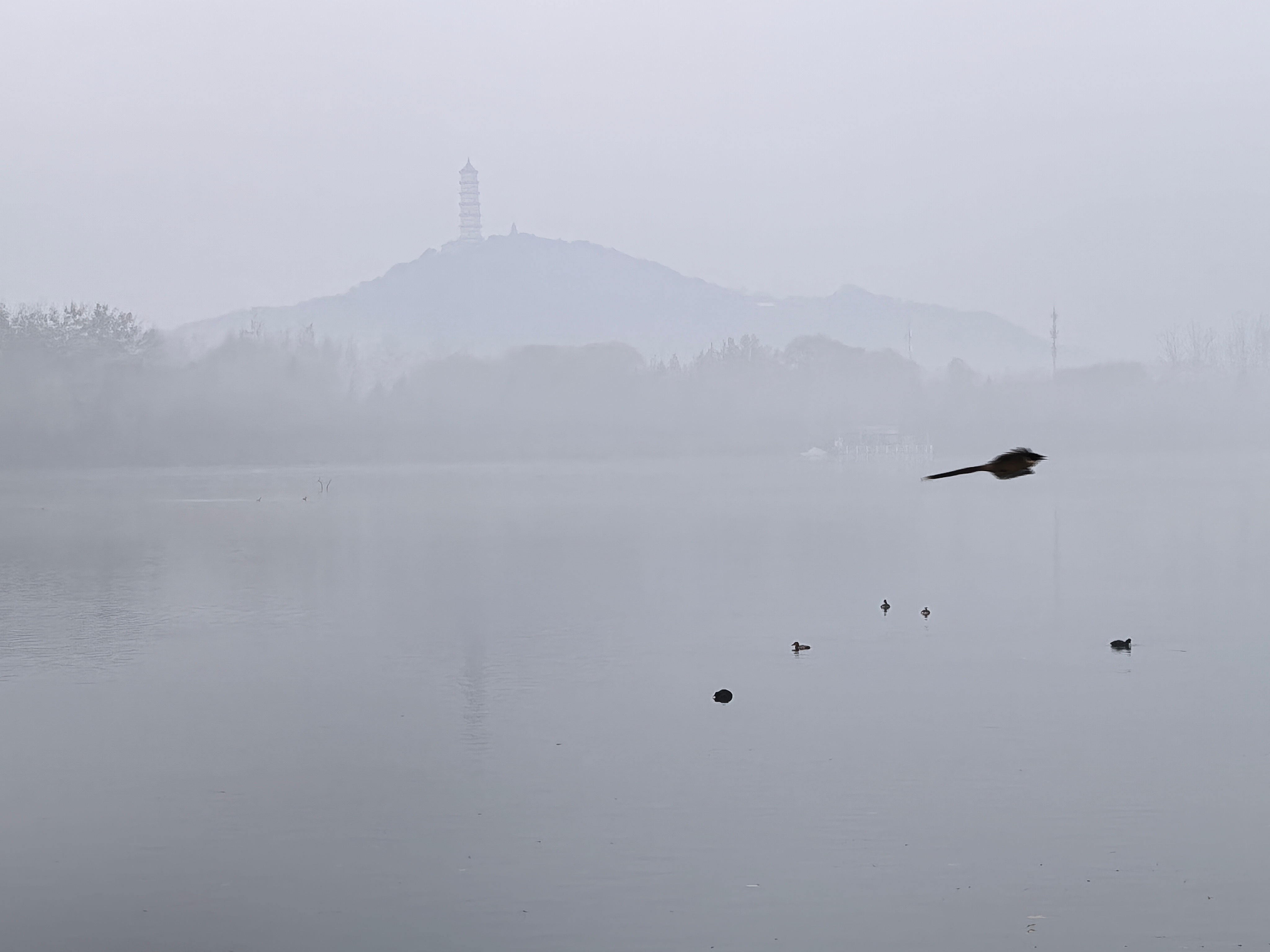 S-昨晚上，江浙沪那边的资本，传来的共识是：汪汪队在科创板、创业板的筹码并不多，