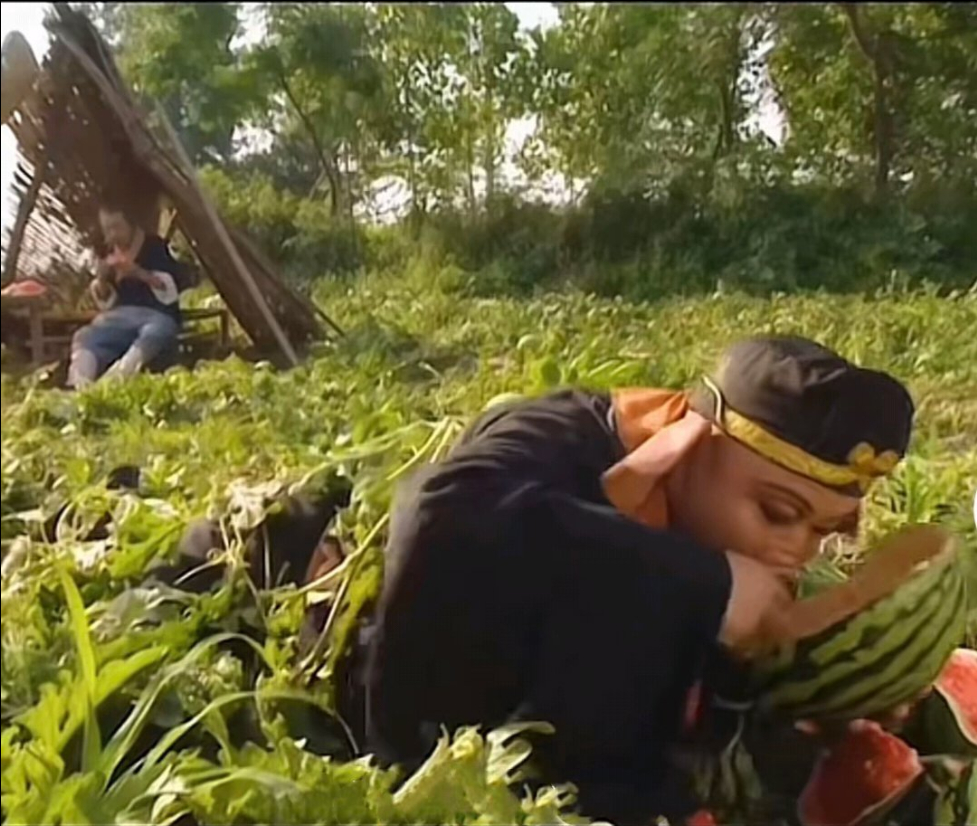 #韩网友竟称西游记作者是韩国人# 逆天，啥都是你们家的，那我们家八戒岂不是要瘦死