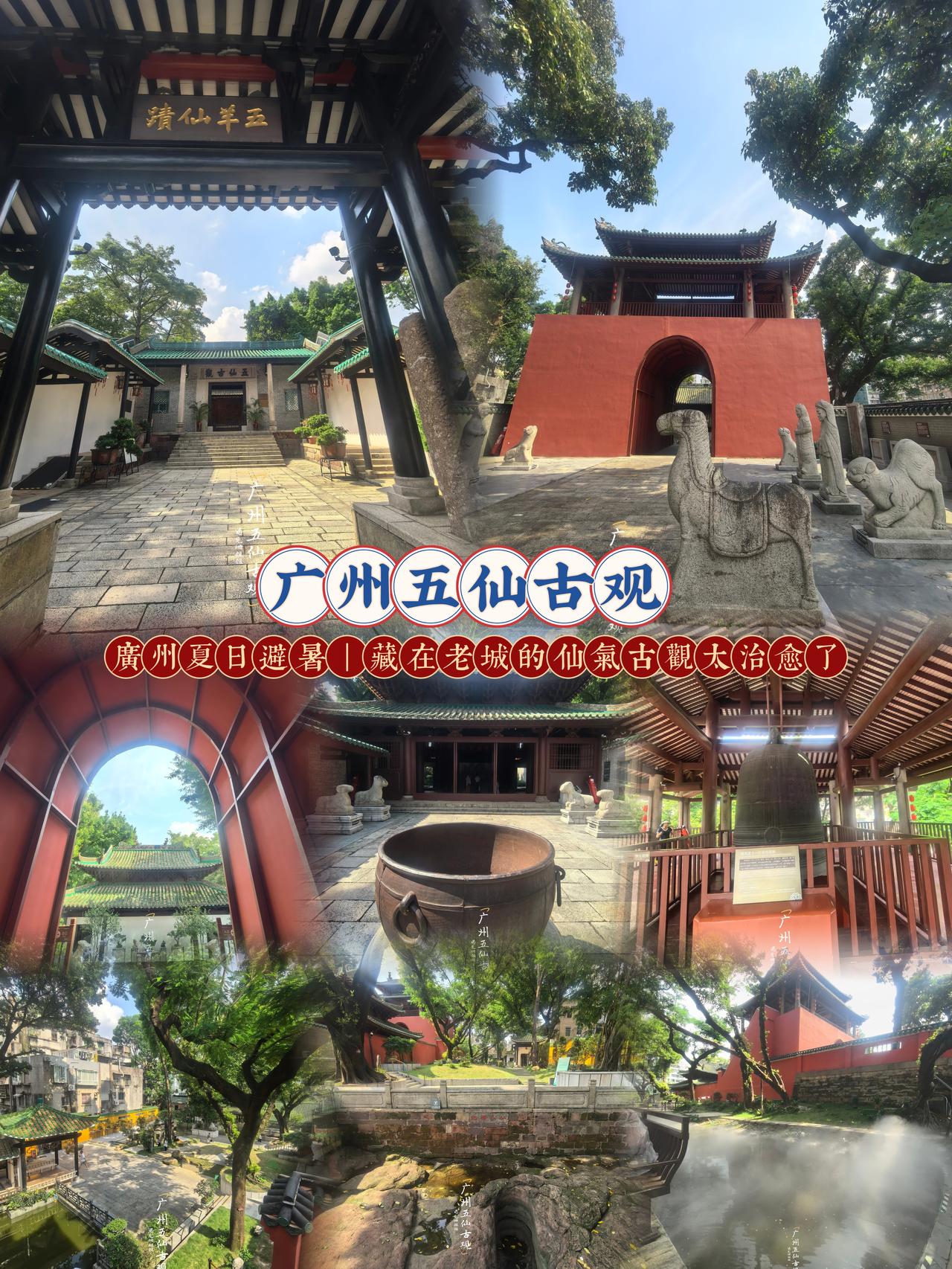 广州盛夏酷暑难耐，不想扎堆网红景点
越秀闹市中藏着一处千年免费仙气秘境
红墙绿瓦