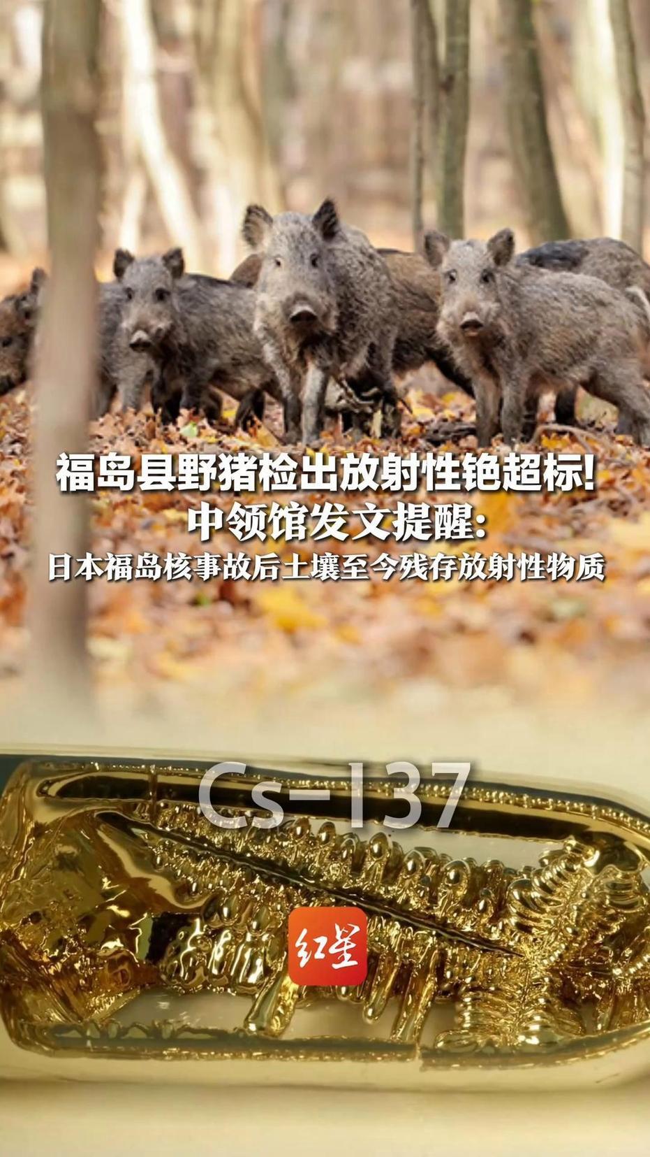 日本核污染还这么严重！对于危害生态与公众健康的核污染隐患，无论何时都要保持警惕、