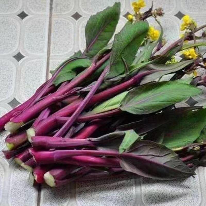 是不是只有我们湖北人喜欢吃这玩意