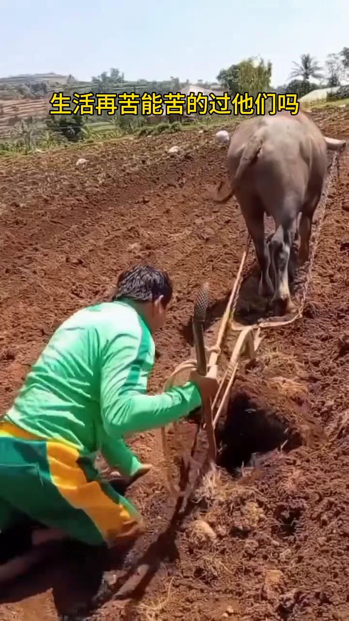 生活再苦能苦的过他们吗？