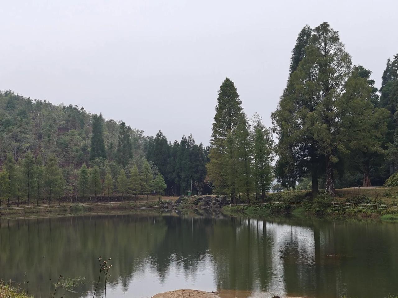 前几年，森林公园里开了水上乐园，带孩子去玩。其中有个深水池，长有约25米吧，我游