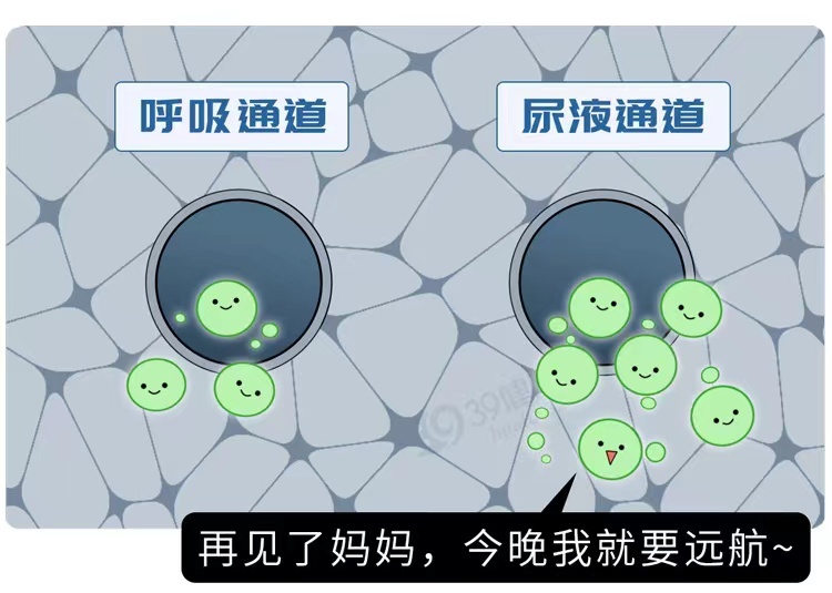 #为什么熬夜后身体这些部位巨臭#？因为它有3个层次 熬夜就和工作一样，越努力的人