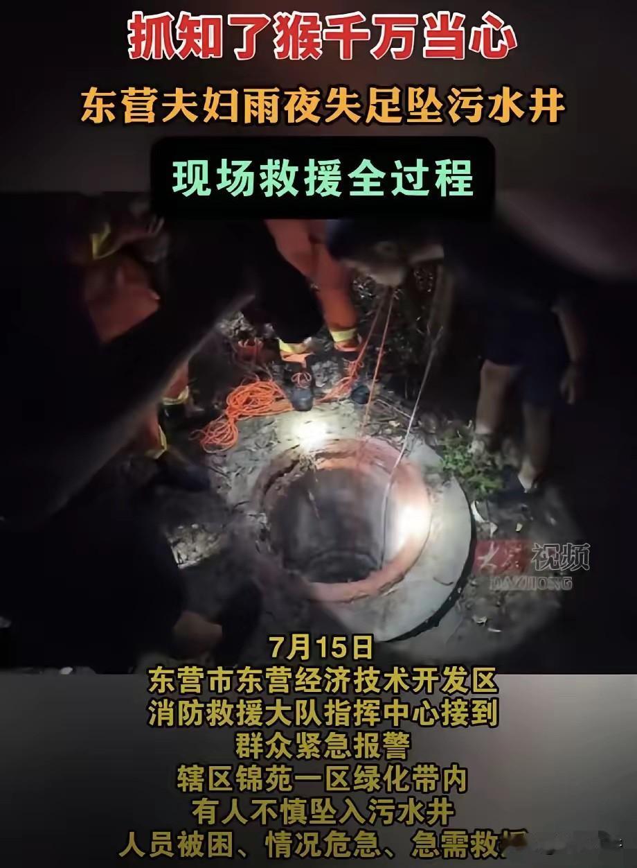 山东东营，一对夫妇雨后外出找知了猴，丈夫跟妻子分头找，结果妻子没有注意到绿化带内