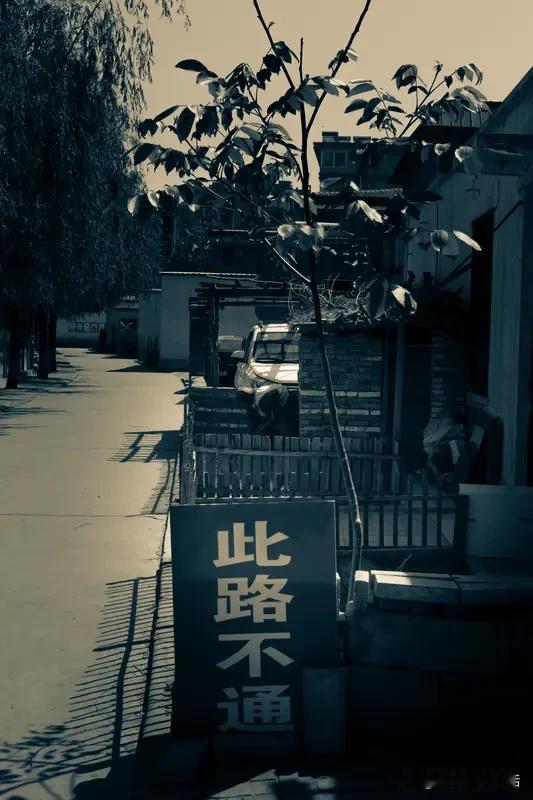 人到中年方悟：最好的关系，并非朝夕相伴，而是保持“不远不近”！

       