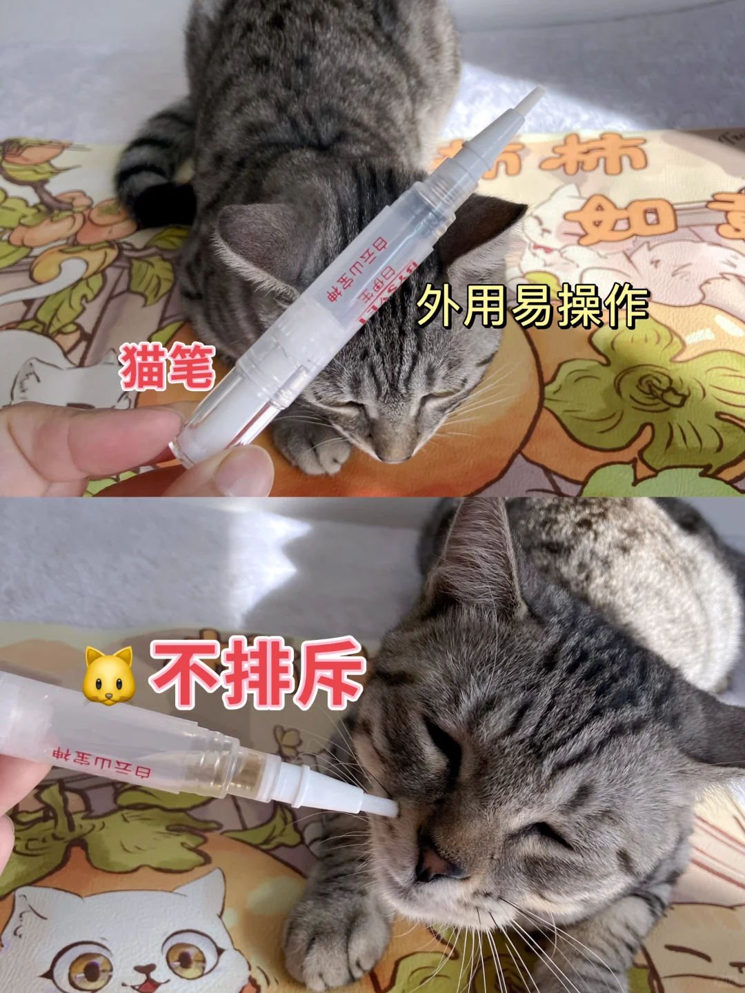 天哪！养猫人的福音来了