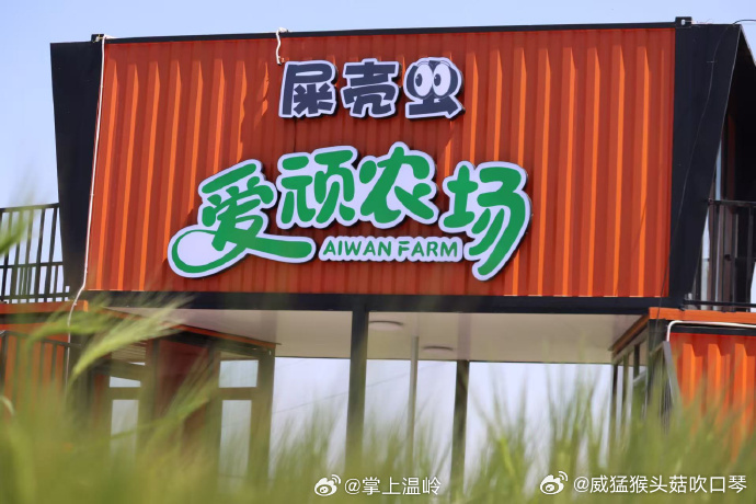 台州青年用自然教育盘活乡村经济返乡青年深挖乡村生态资源，打造自然教育体验项目，吸