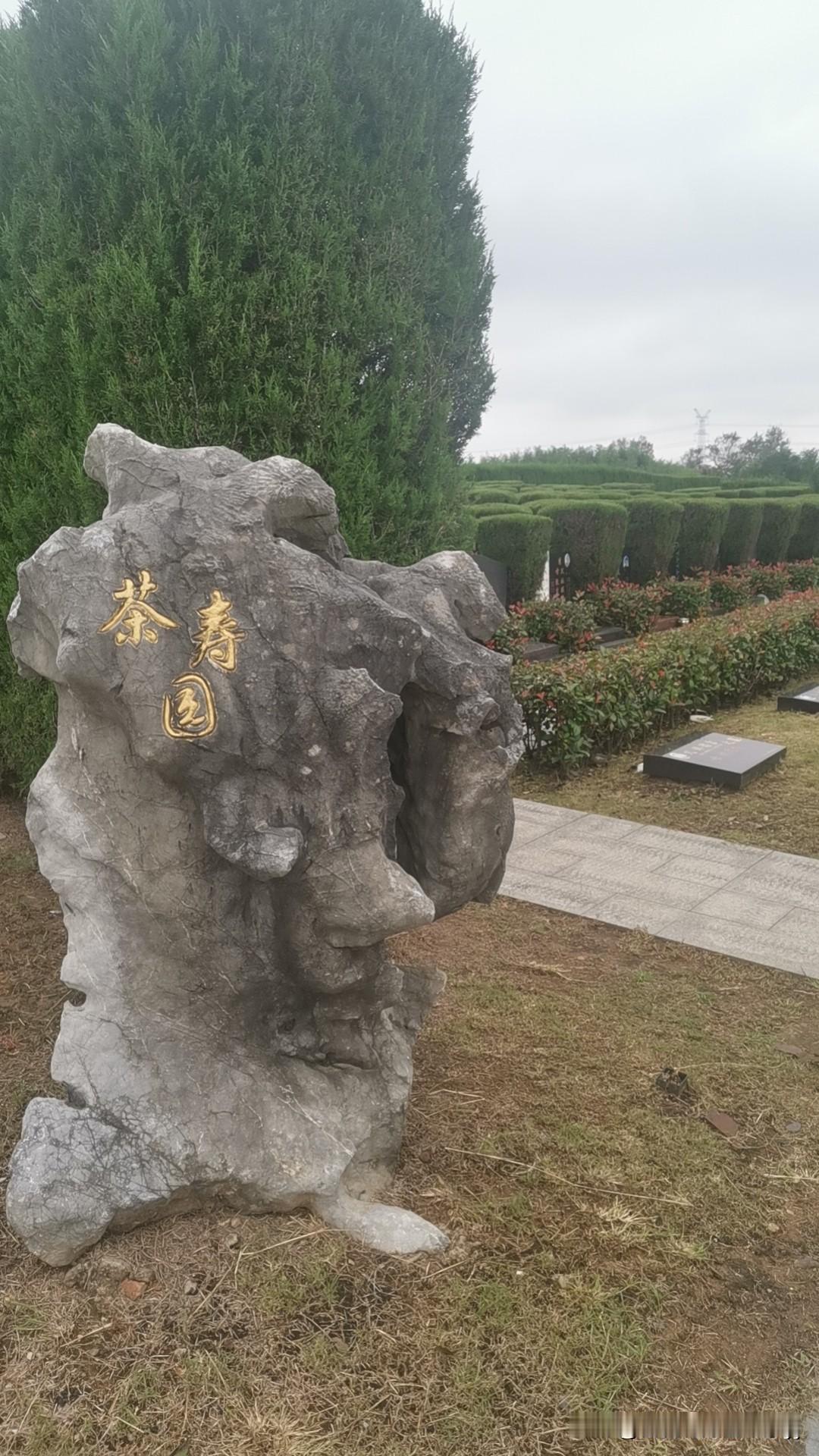 每逢佳节倍思亲。