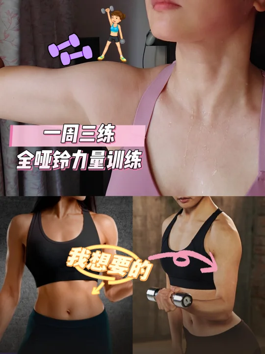 一周三练｜全哑铃力量训练的一周｜D95-97