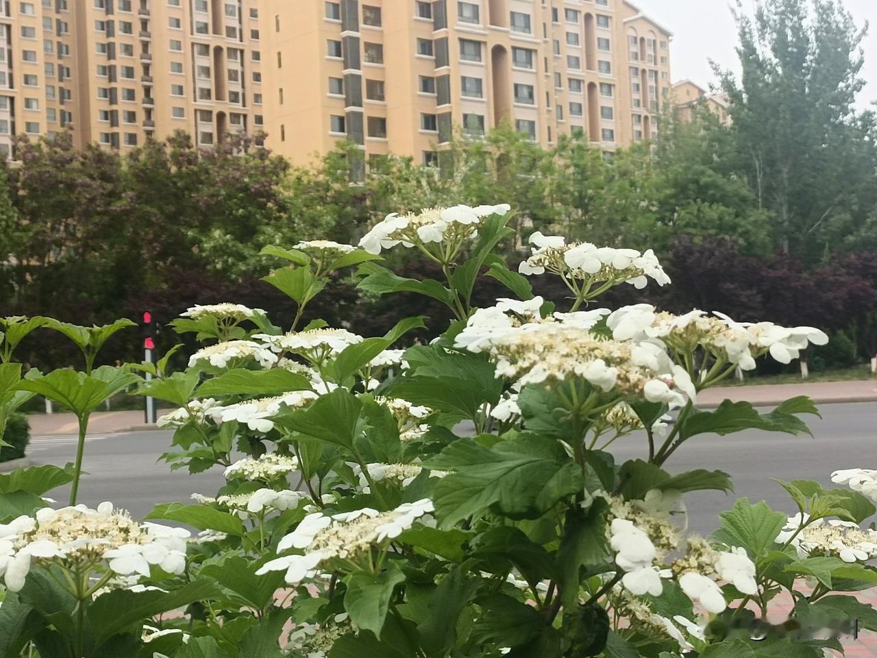 信任一个人需要有哪些要素?信任一个人，从来都不是凭空而来的
信任这东西，看似轻飘