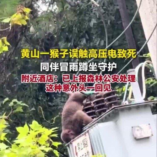 刷到这条新闻的时候，我盯着屏幕愣了好半天，手里刚喝了一半的水都忘了往下咽。谁也没