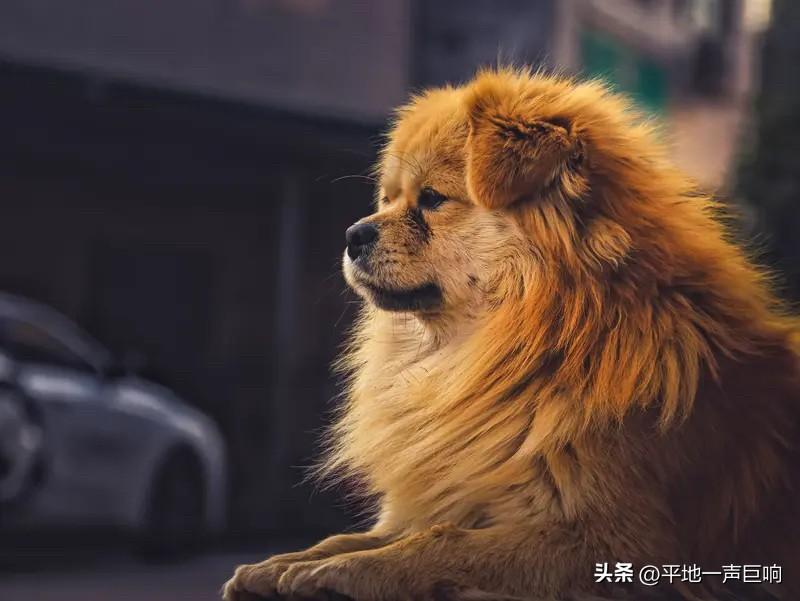 为什么贵人那么重要？

贵人不一定是很有钱有地位的富人，

而是谁能给你指点迷津