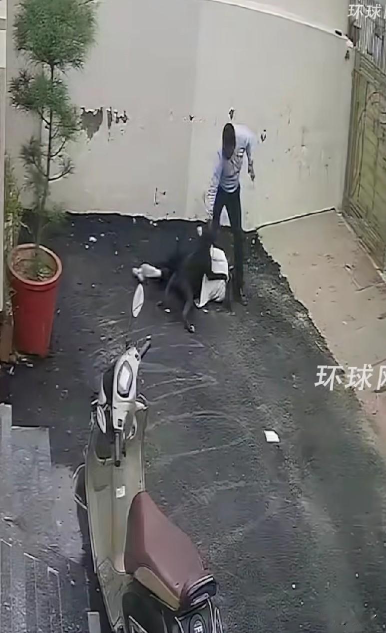 一对夫妇在看房时双双被未拴绳狗咬伤，妻子受伤严重，需要手术治疗。

据环球网转载