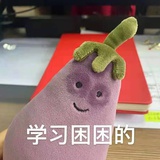 伴霜谈谈社会