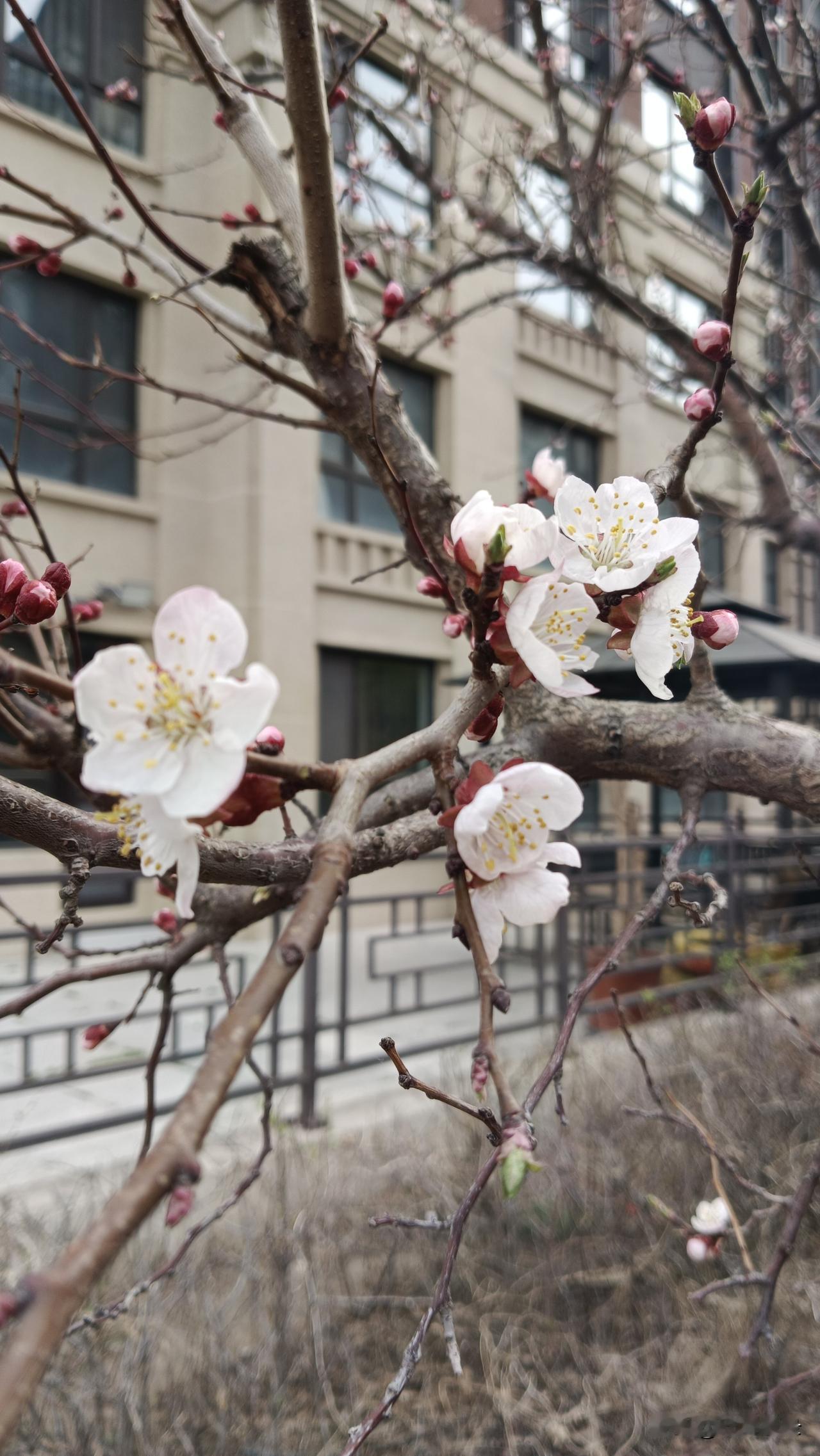 岁岁风调雨顺，请赐下联
我的下联是：年年人寿粮丰。