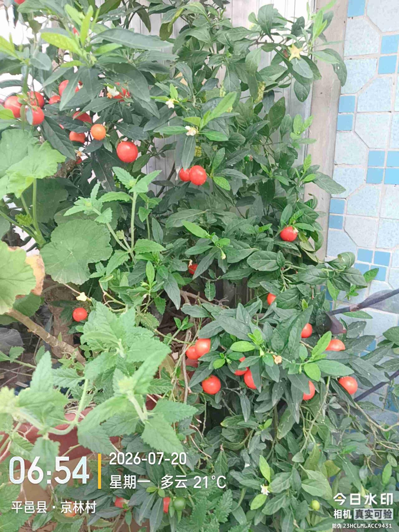 我的今日状态：🏃‍➡️运动
我这里的天气：🍂微风