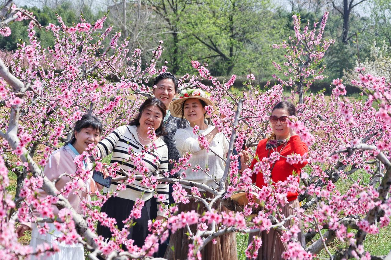 风有约，花不误，岁岁春归，不负奔赴。
一庭春色，半盏清欢，看花不语，心自安然。 