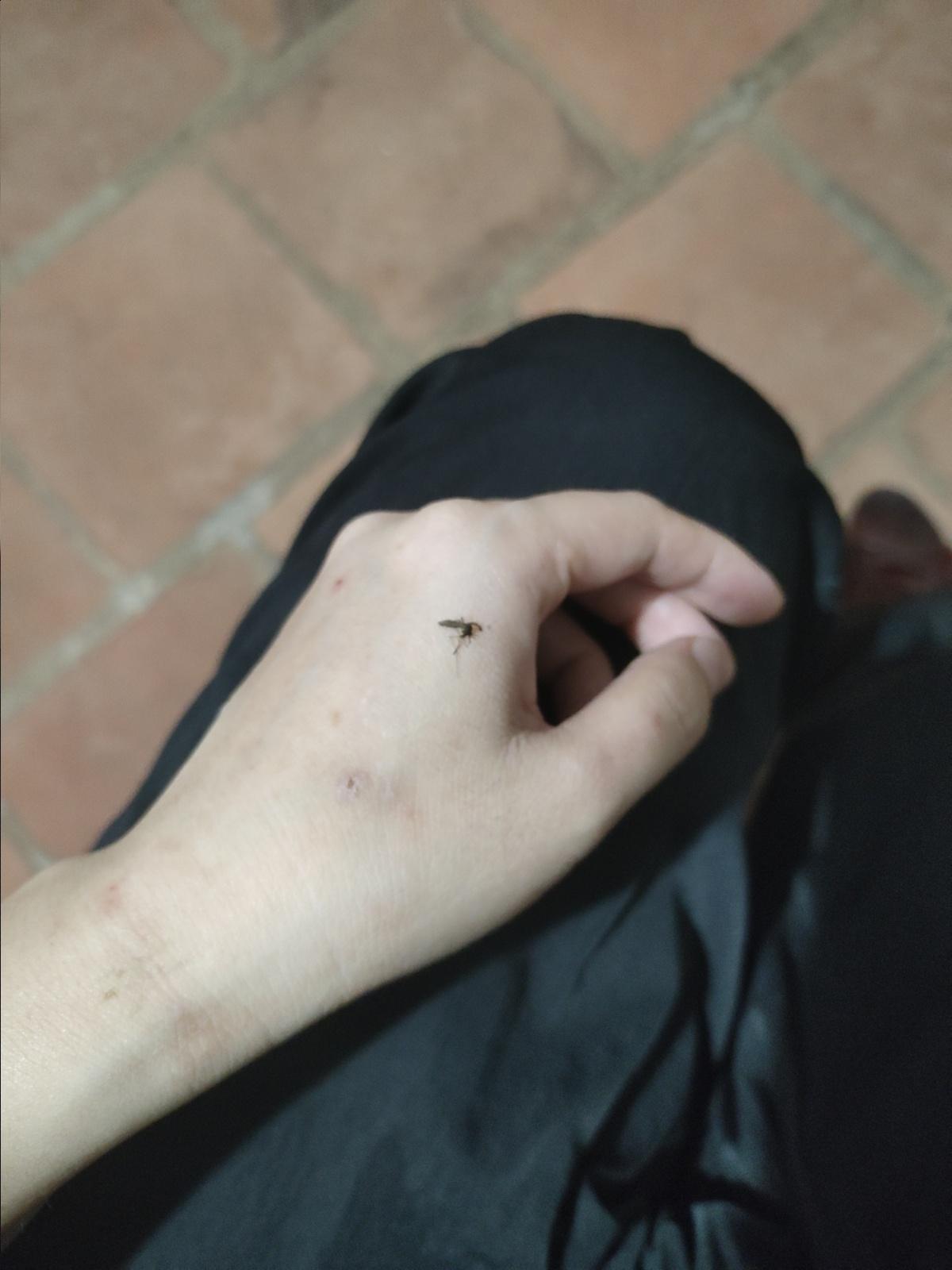 昏暗的旧宿舍楼楼道，冷风穿廊作响。细碎嗡鸣灌满黑暗，一道黑影紧紧追在我身后。
