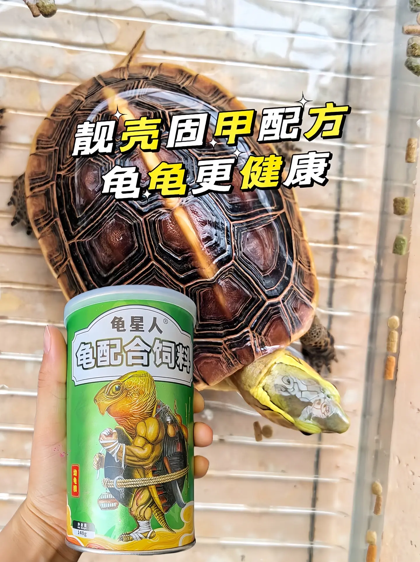 哥哥们，快来给你的龟龟安排这款国产龟粮，现在还送小滑板哦