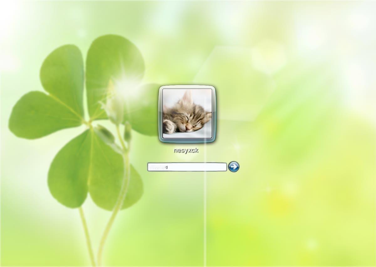 🌱 ​​​