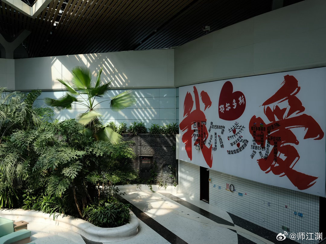 再见美丽的鄂尔多斯鄂尔多斯记录生活 富士GF45-100 新郑·郑州新郑国际机场
