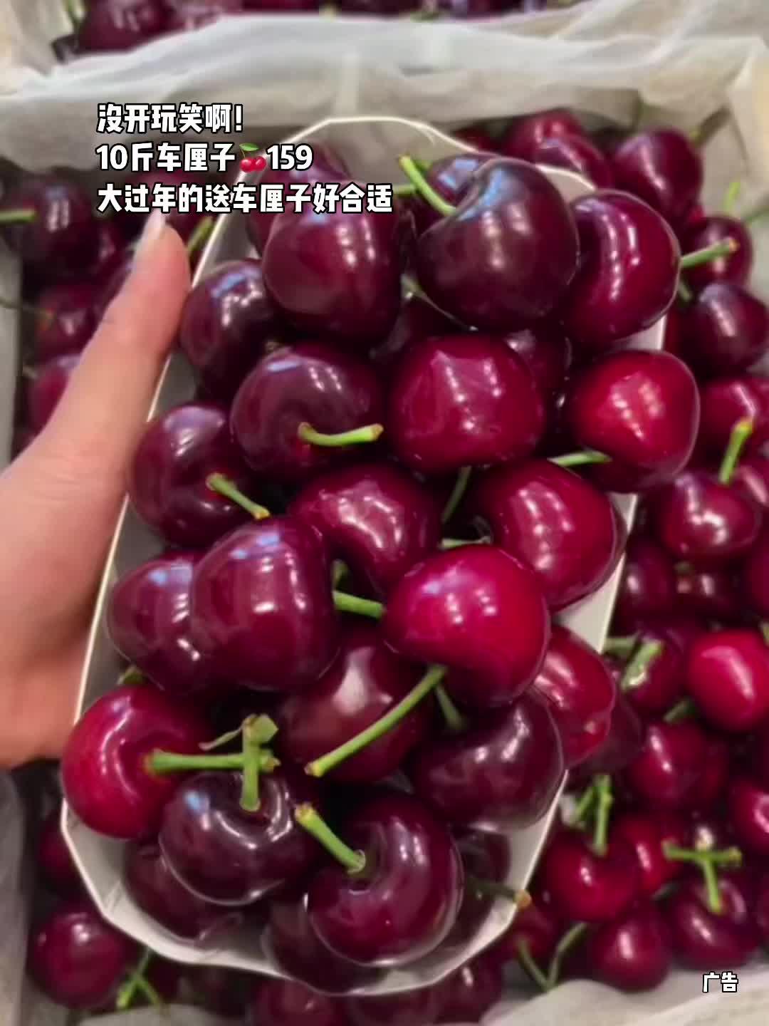 果叔的车厘子🍒10斤159