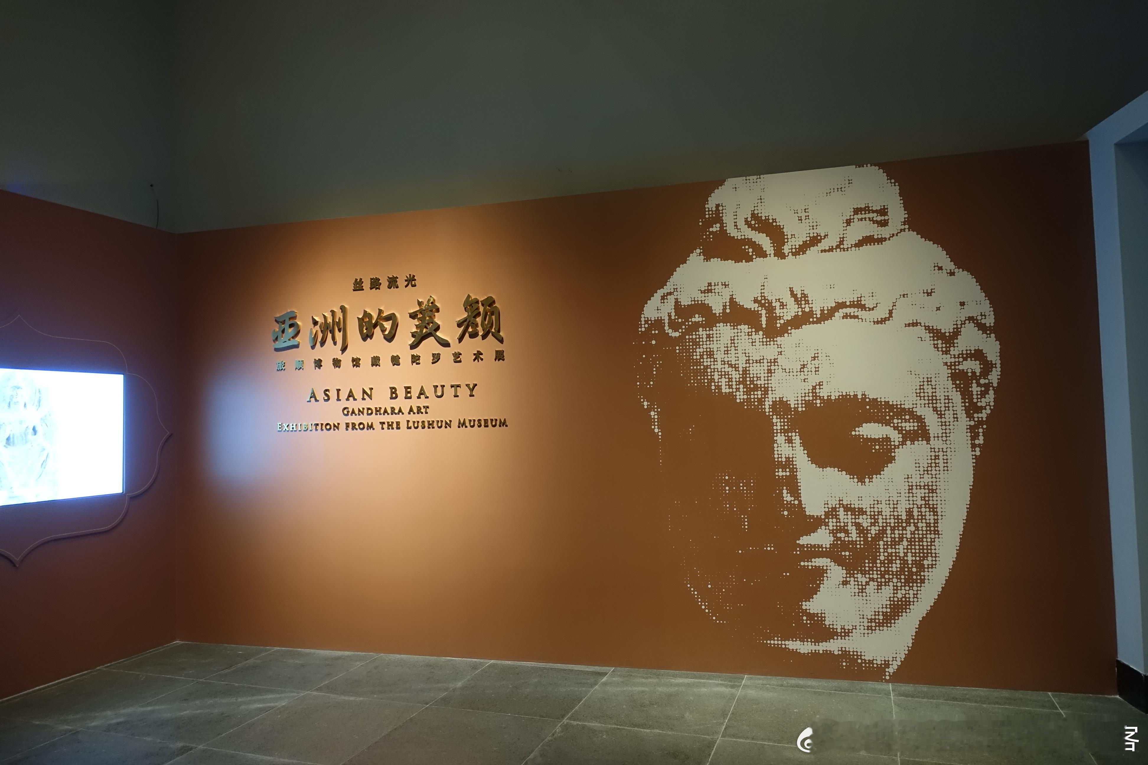 #白衣刷展# 特地自驾去吴江，就为了看一眼#苏州湾博物馆# 现在展出的“丝路流光