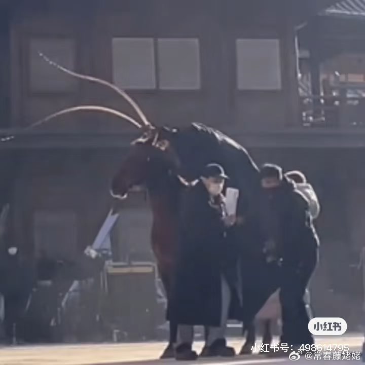 下个马都要踩凳子，你要是170也就不说啥了，身高180以上了，男演员能不能别下个