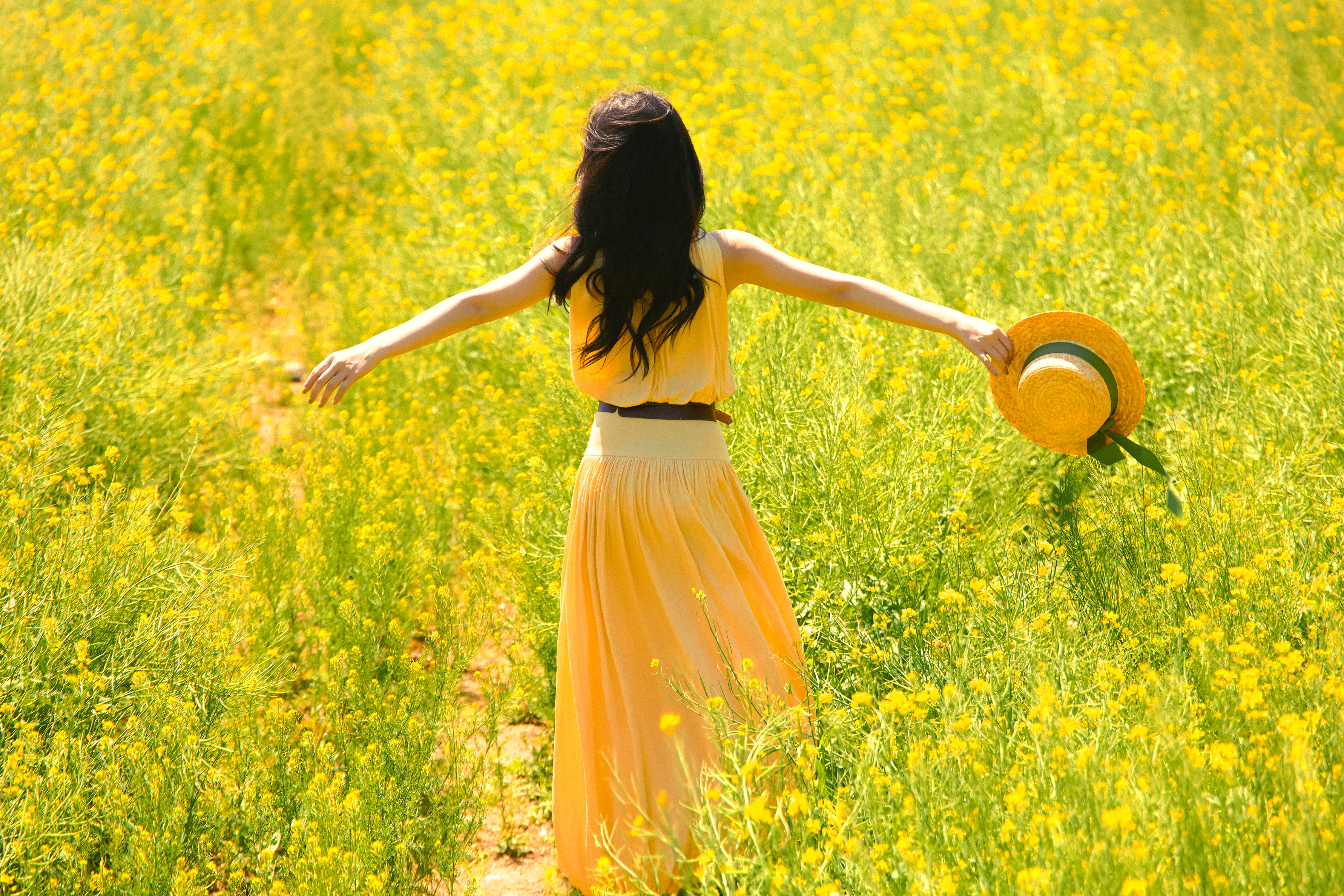 任敏 🌼🌤️「夏の田野」 