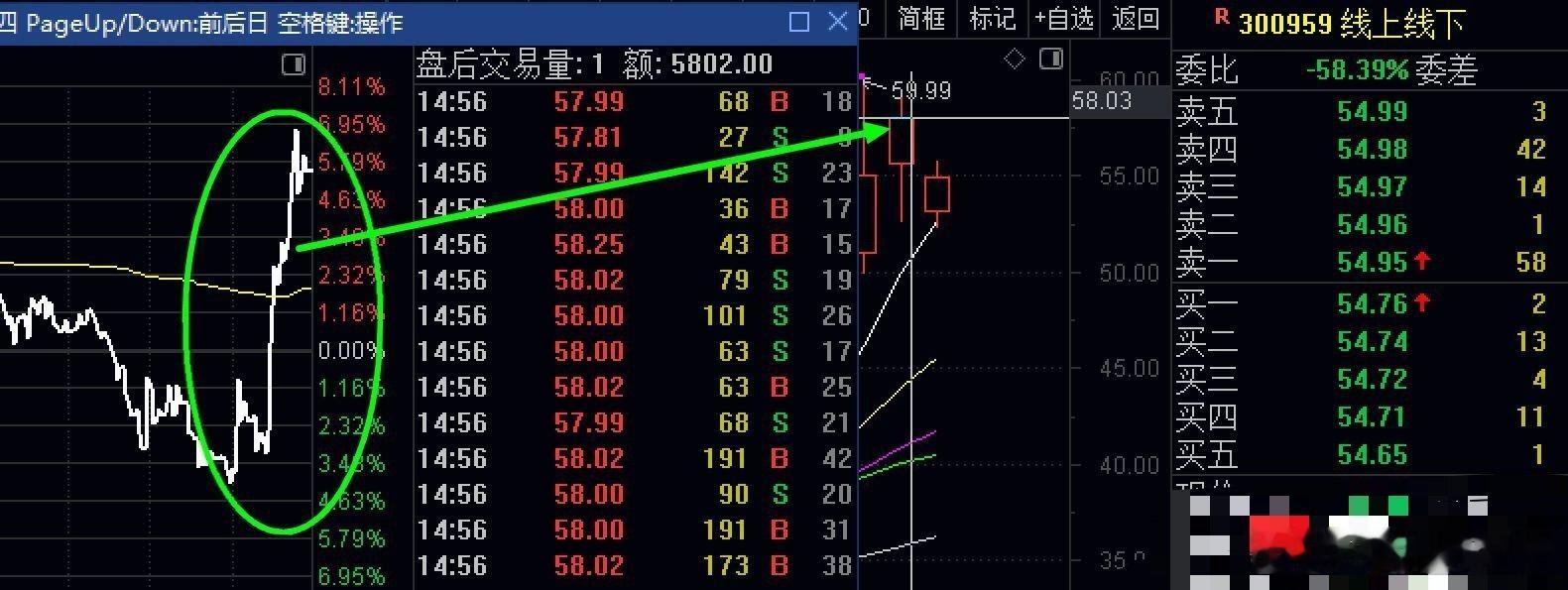 干货记住：尾盘拉高是出货，次日容易大幅度低开大跌，看截图就知道，300959线上
