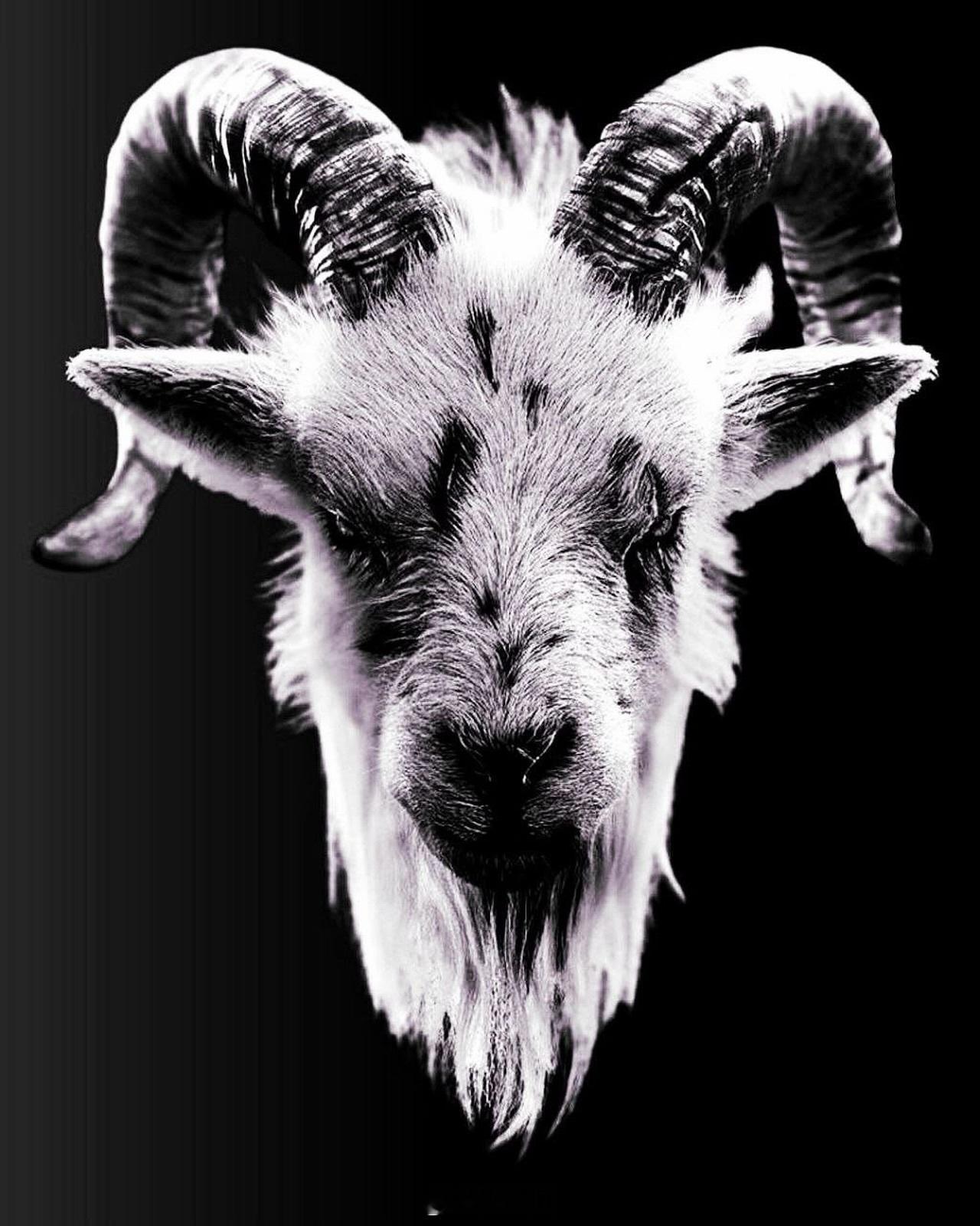 𝕲𝖔𝖆𝖙 ​​​