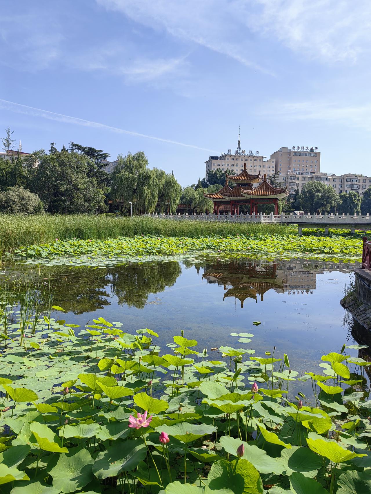 7月5日下午，乌云翻涌，顷刻间大雨如注，雨雾弥漫开来。仿佛龙王杀了个回马枪来施雨