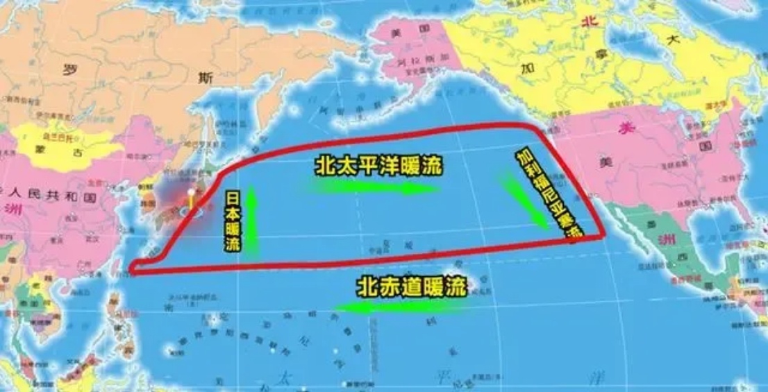 #受日本核污水影响最大的省份#海洋气候权威人士说，日本排放核废水，根据地球转动或