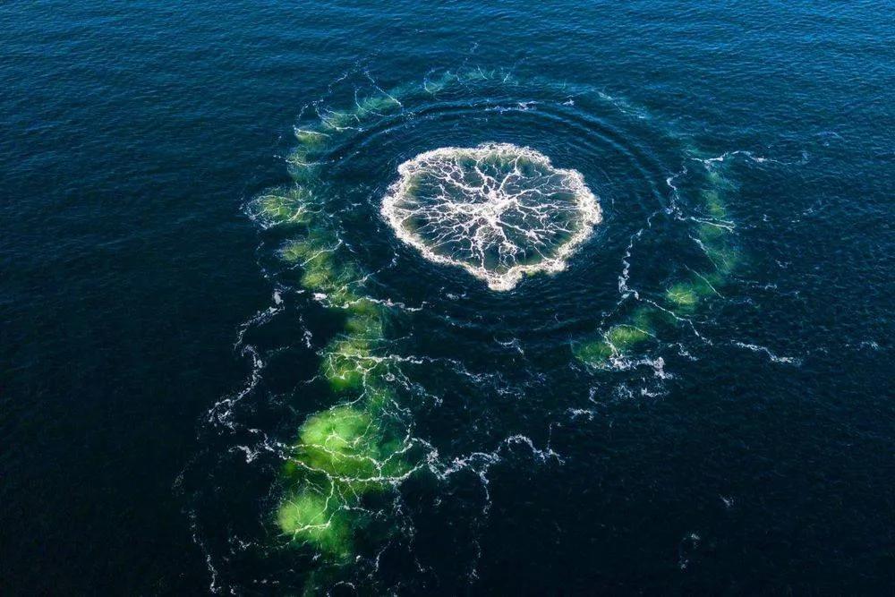 美媒:波兰被破坏分子作为袭击北溪天然气管道的后勤中心 德国联邦刑事调查局的工作人