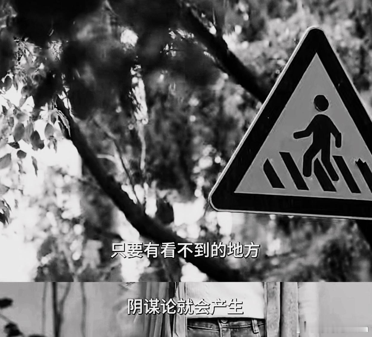 “阴谋”和“阴谋论”是两回事“格局”和“立场”是因果关系 ​​​