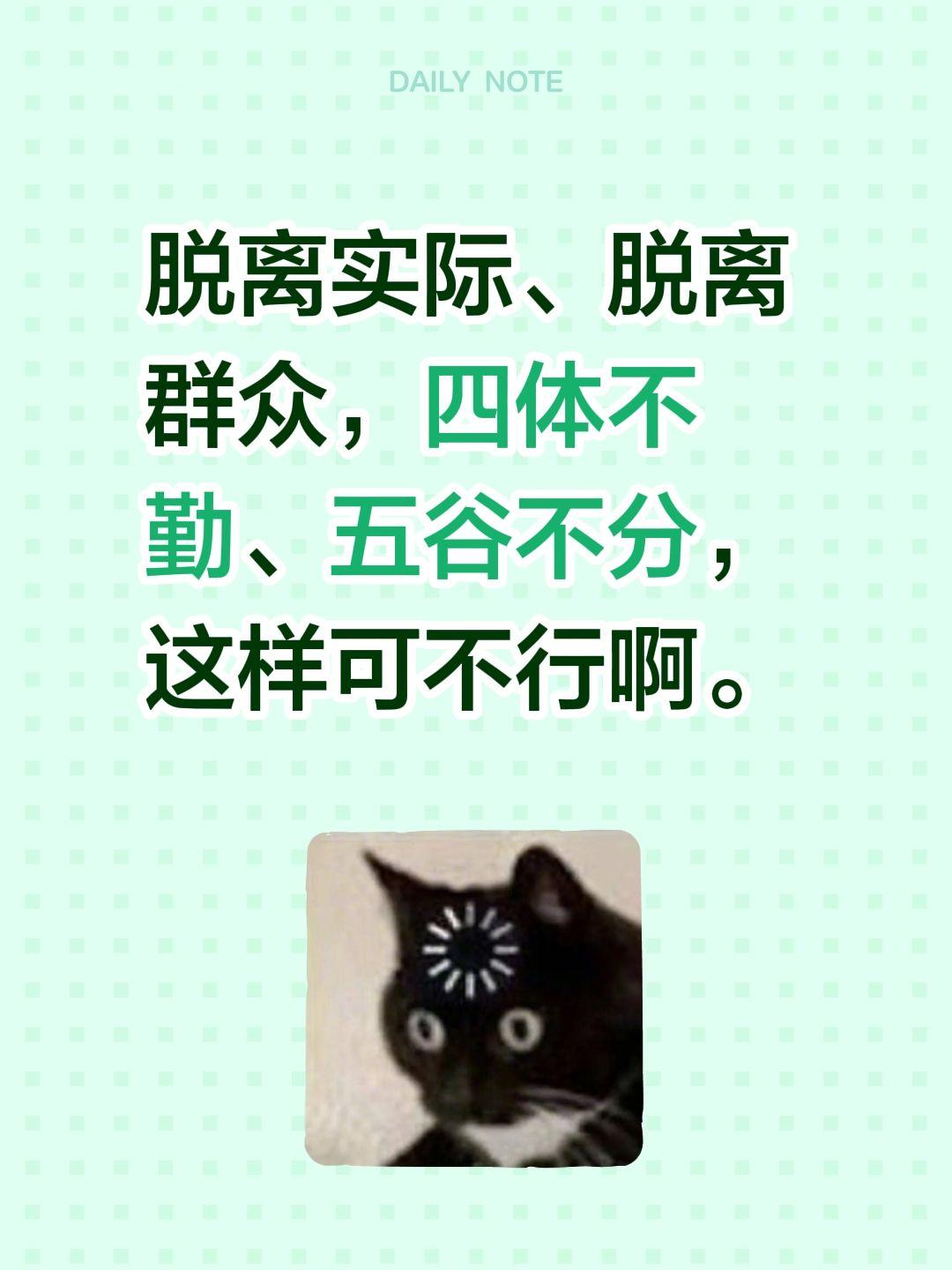 脱离实际、脱离群众，四体不勤、五谷不分，这样可不行啊。