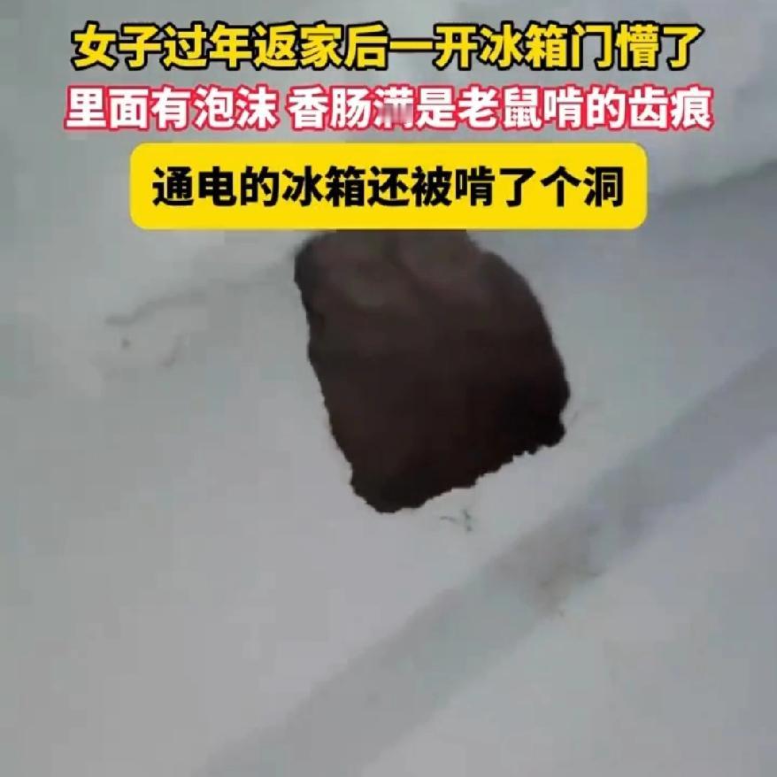 年假刚收心，
湖北随州的王女士
一回家就被眼前一幕吓懵了。

         