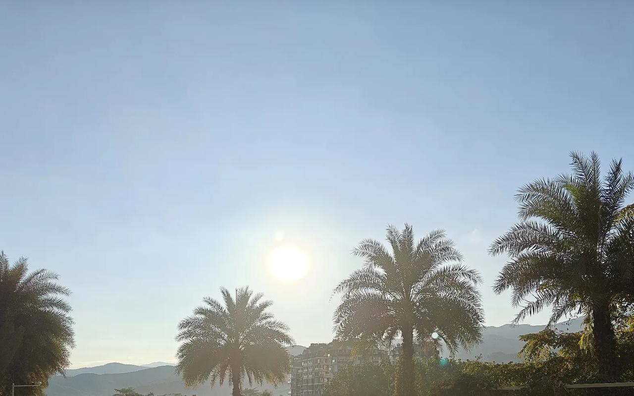 晚上饭就吃点菜，寻思下楼，出小区，上曼莎路曼列村口晚市，天天晚上过来卖罗非鱼傣族